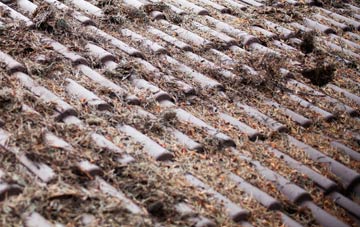 Bradwell Waterside roof cleaning companies